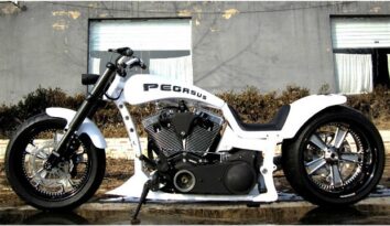 COOL EURO DRAG SINGLE SIDED BIKE